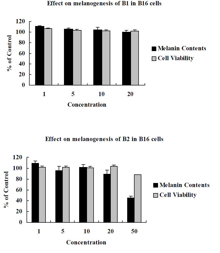 Procyanidin B1, 2의 α-MSH 로 자극한 B-16 세포에서의 cell viability와 melanin 생성 억제 효과