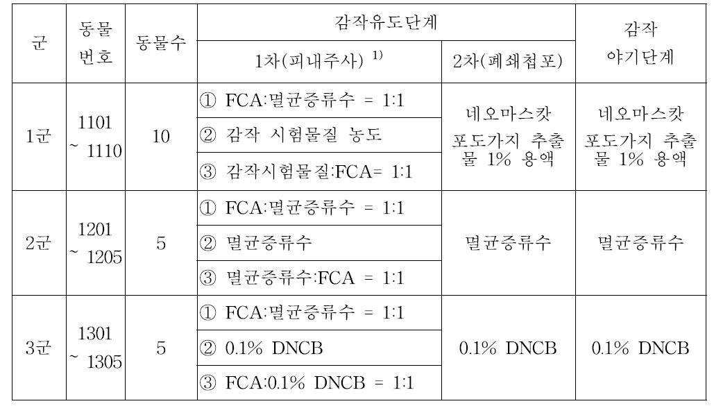 시험군의 구성(본시험)