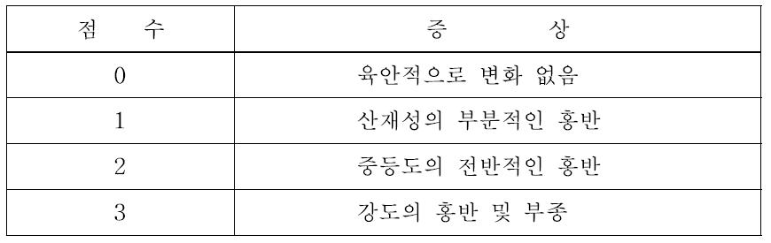 피부반응 평가기준