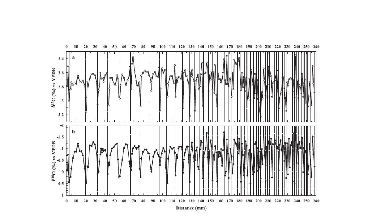 Carbon (open circles: a) and oxygen (closed circles: b) isotopic profiles for