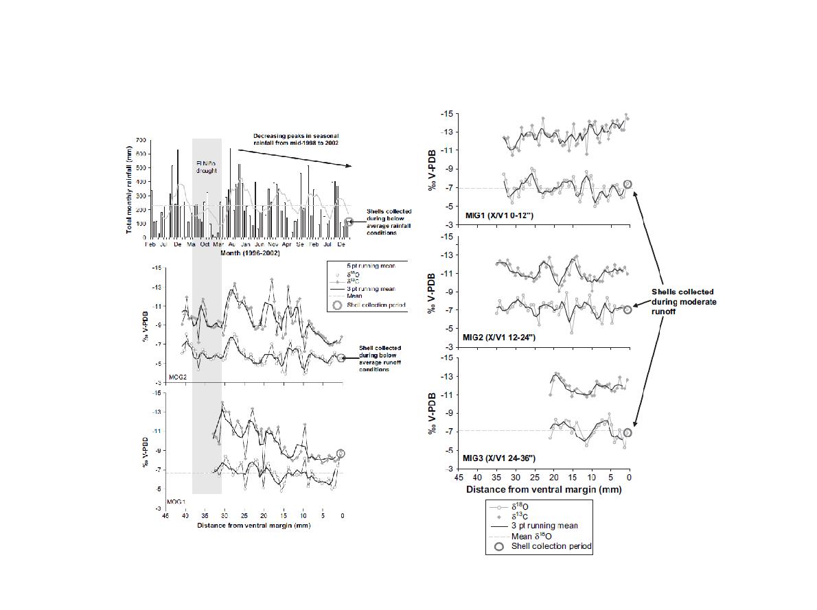 (left) Comparison of modern isotopic profiles of two modern Geloina erosa