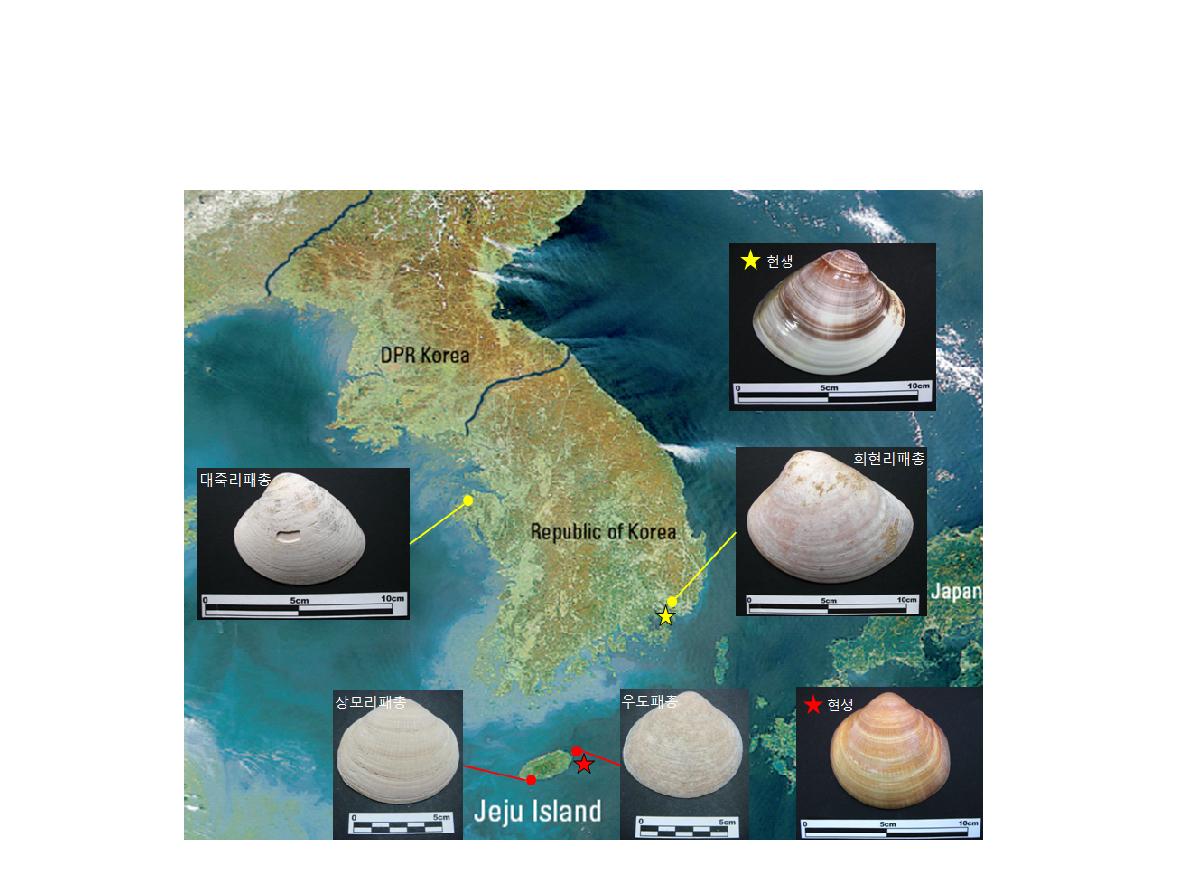 제주도 및 서해안과 남해안 일대 연구지역(패총)의 위치 및 채취된 시