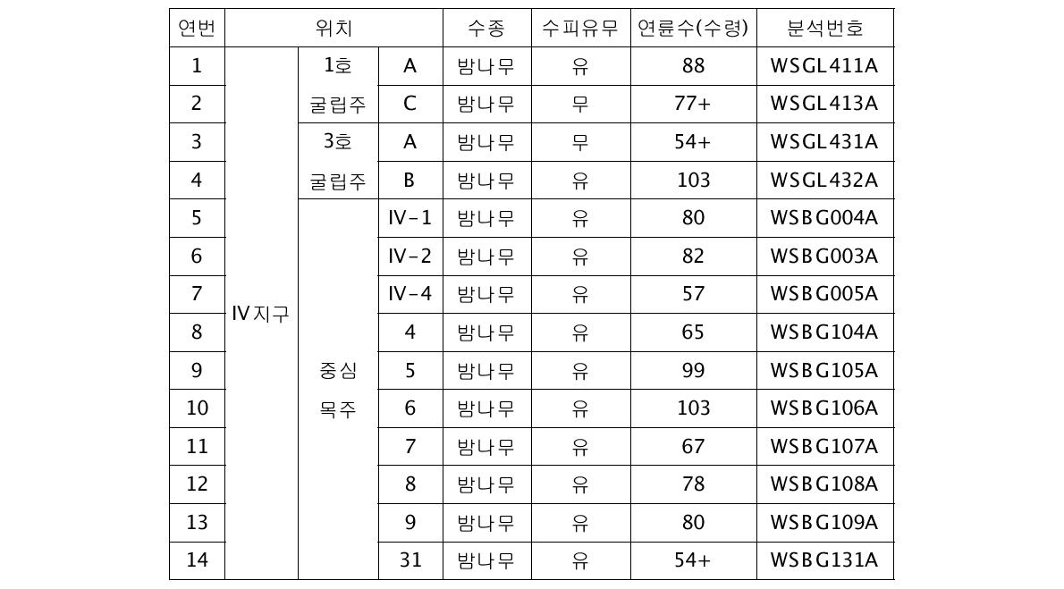 울산 반구동유적 연륜연대분석 대상 밤나무의 연륜 정보