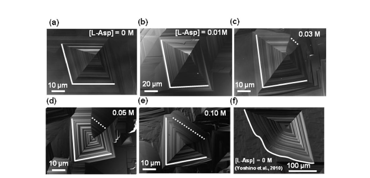 Schematic illustration of AFM flow-through systems. (a) Previous style with a glass cell (Yoshino et al., 2010) (b) Improved style using a meniscus