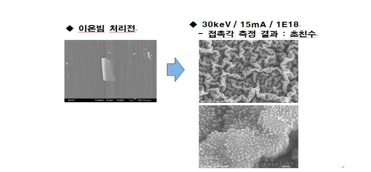 이온빔 조사시 표면 나노구조 형성 (SEM)