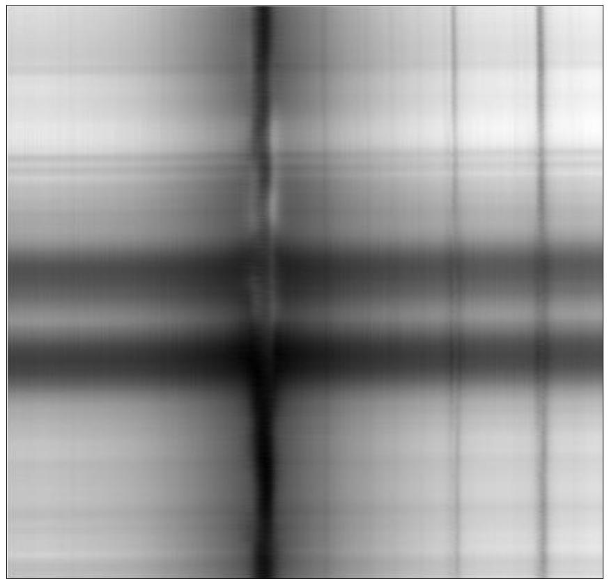 FISS Spectrogram(Ca II 8542, 2010년 5월 21일).