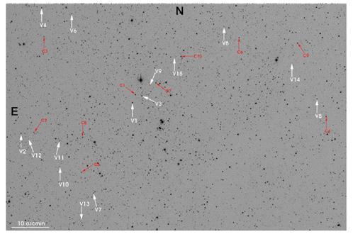 NGC 6871을 중심으로 한 영역에 대한 δ Scuti 형 변광성의 분포.