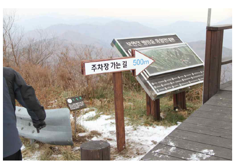 주차장 가는길 500m
