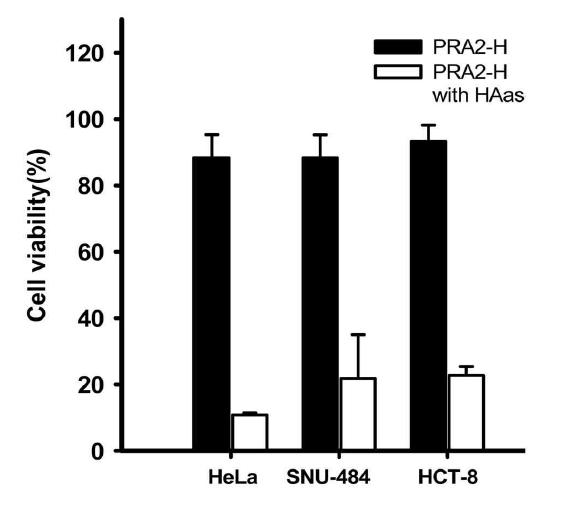 시간에 따른 PRA2, PRA2-H의 세포 morphology 변화를 확인.