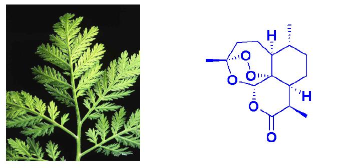 아테미시닌(artemisinin)의 구조