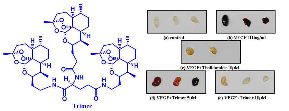 디옥소아테미시닌 삼합체(trimer)의 matrigel plug assay 결과