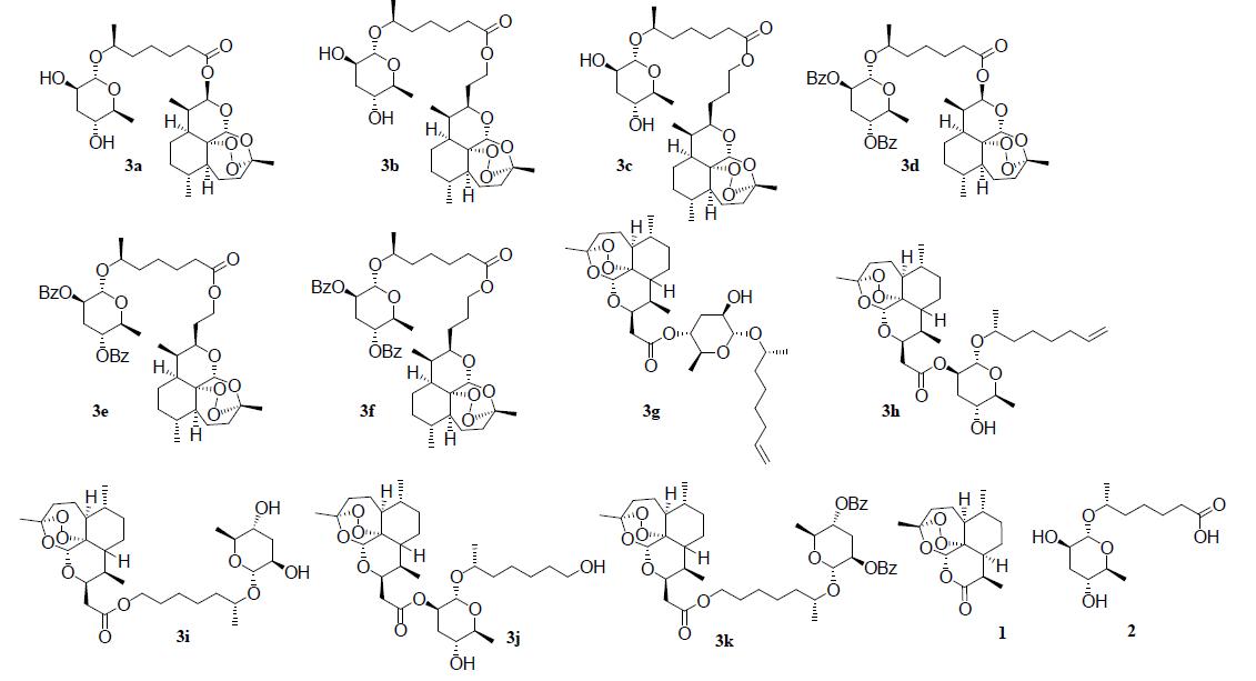 CAM assay를 측정한 신규 합성된 11종의 아테미시닌-당지질 hybrid 화합물