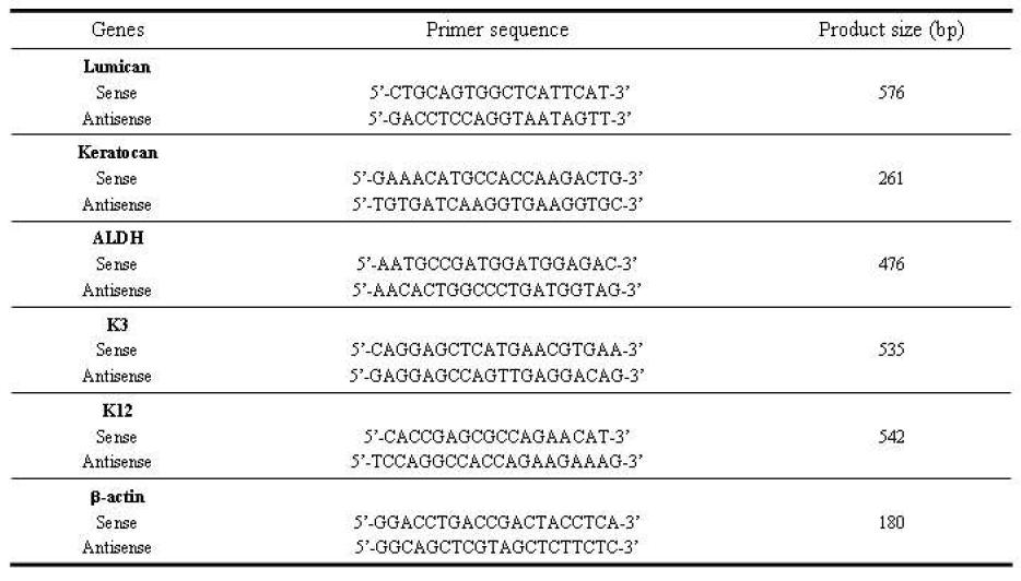 각막세포 표지유전자 RT-PCR primer 염기서열