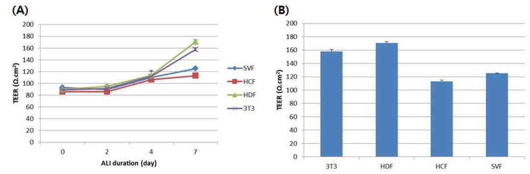 Comparative TEER value of reconstructed nasal epithelium by four different feeder cells.