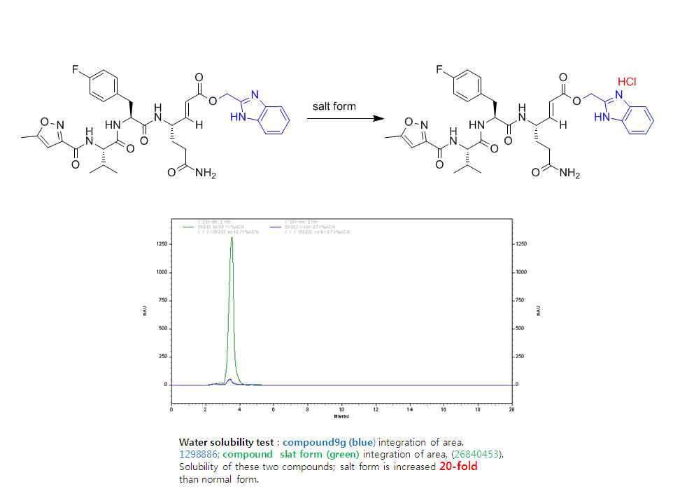 HCl salt form 변환과 용해도 향상 결과