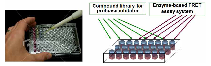 FRET 기반 assay를 이용한 스크리닝 시스템