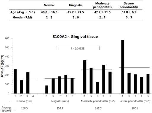 정상과 치은, 중기, 말기 치주염환자의 치주조직에서 S100A2의 단백질 발현정도를 ELISA로 확인