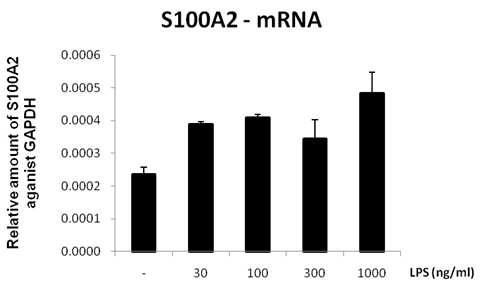 Jurkat cell에서 LPS 처리에 따른 S100A2의 mRNA 발현 변화