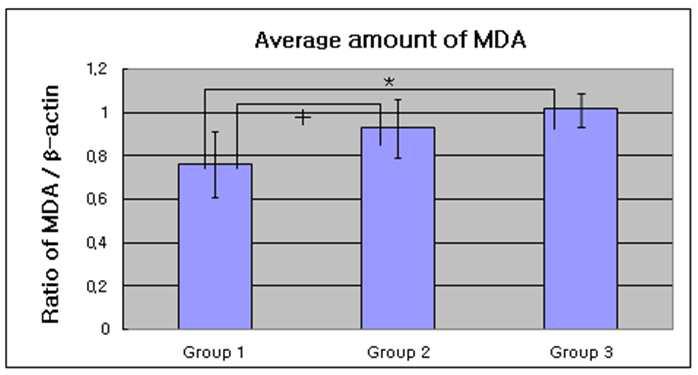 Graphics showing the average amounts (Ratio of MDA/β-actin) and standard deviation of MDA level in Groups 1, 2 and 3.