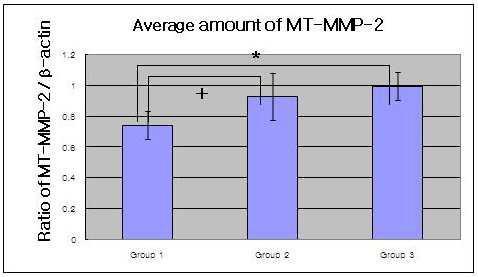 Graphics showing the average amounts (Ratio of MT-MMP-2/β-actin) and standard deviation of MT-MMP-2 level in Groups 1, 2 and 3. In the inflamed gingiva (with or without type 2 DM, Group 2 and Group 3), the levels of MT-MMP-2 were higher than those in healthy gingiva.