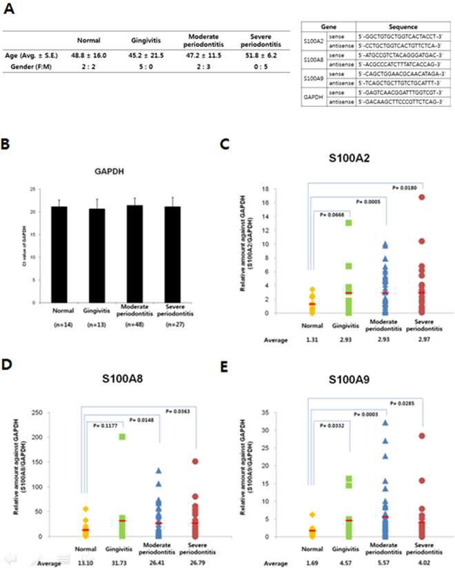 정상과 치은, 중기, 말기 치주염환자의 치주조직에서 S100A2와 S100A8과 S100A9의 mRNA 발현정도를 real-time PCR로 확인