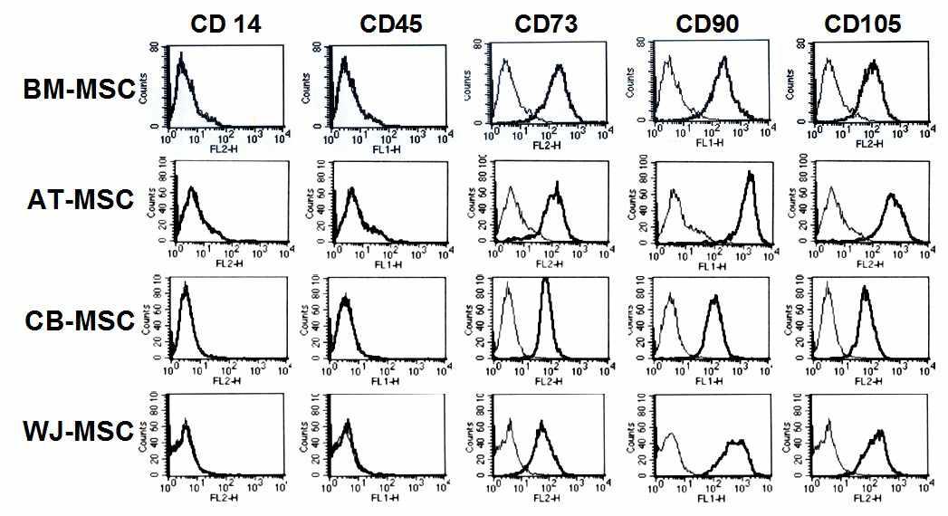 간엽줄기세포의 세포표면항원