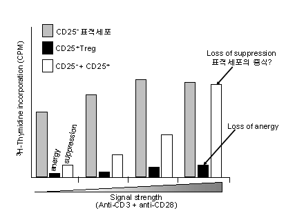 자극 강도에 따른 CD25+ Treg의 활성 변화.