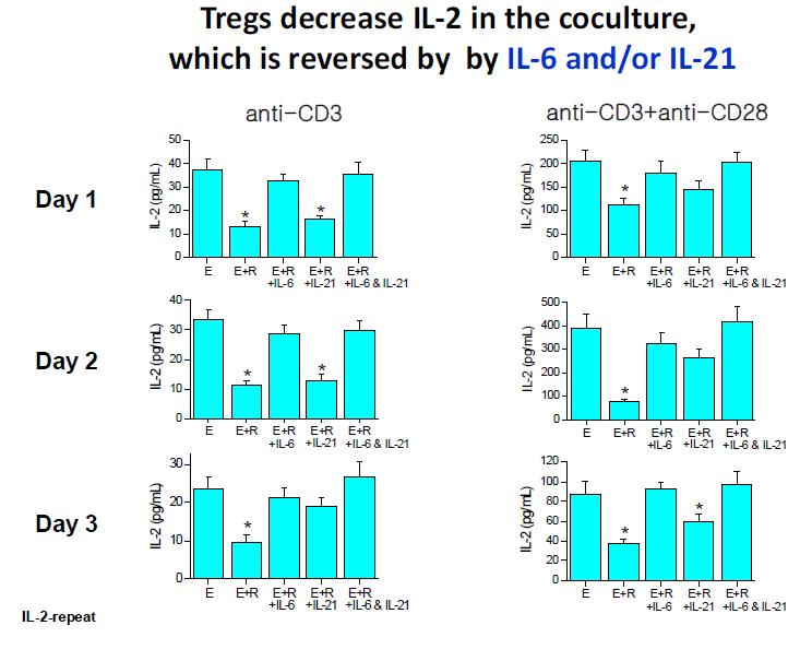 Treg에 의해 감소 된 IL-2생산이 IL-6나 IL-21에 의해 다시 회복됨. E, Teff; R, Treg.