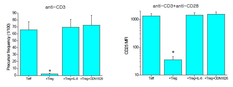 TLR9 ligand인 CpG ODNs (5