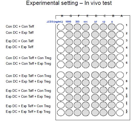Treg 활성 분석 시험 In vivo test setting.