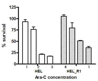 Effect of Ara-C in HEL and HEL_R