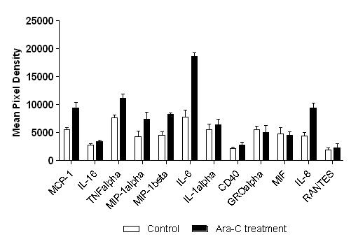 Cytokine array analysis of ex vivo HEL cells obtaining from nude mice untreated or treated with Ara-C