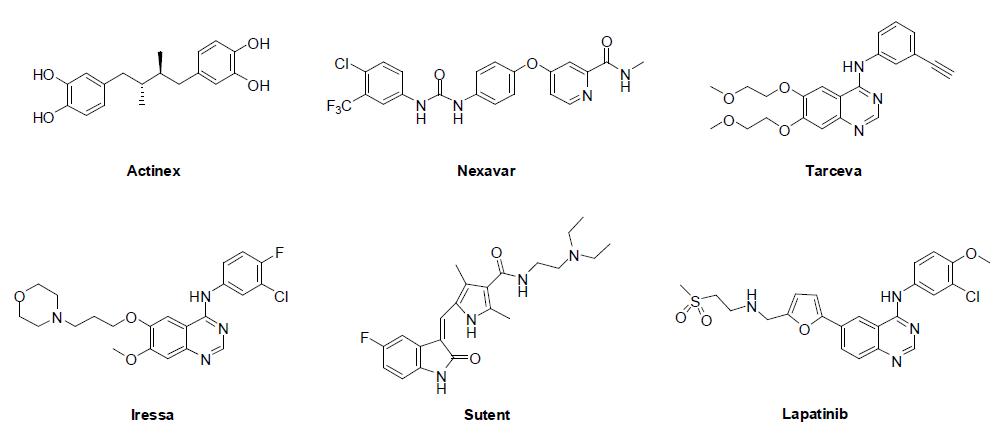 2009년 현재 항암제로서 FDA 승인을 받은 대표적인 RTK 억제제들