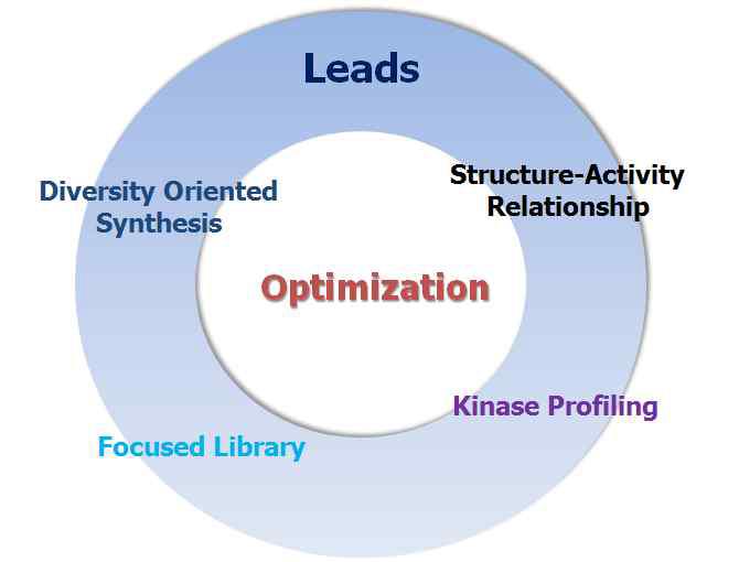 선도물질 최적화 연구