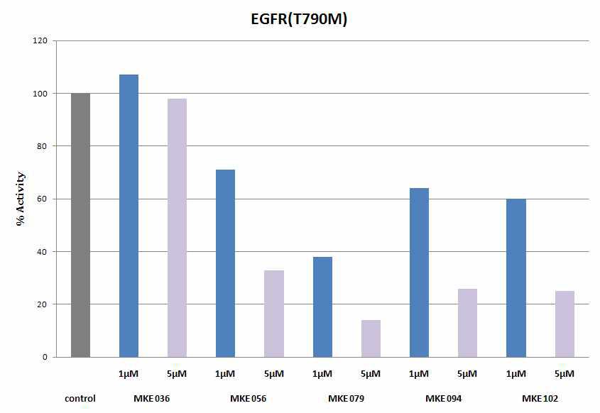 5종의 화합물들의 EGFR(T790M)에 대한 활성 억제 효과