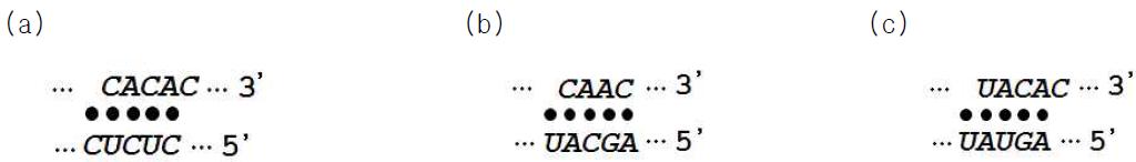 Communication module sequences and structures (a) NS5B dependent allosteric communication module (b) constitutively active communication module (c) inactive communication module