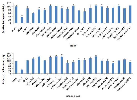 Reporter gene activity after introduction of sirtazyme RNA