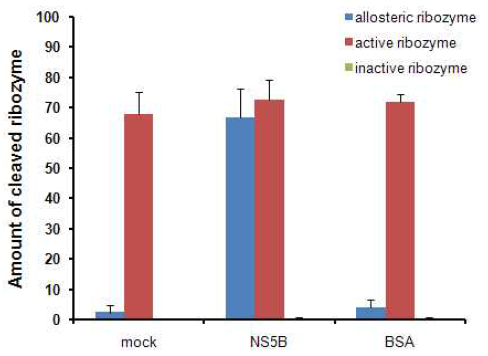 In vitro self-cleavage assay of sirtazymes in the presence or absence of HCV NS5B protein.