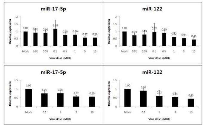 Nonspecific dose-dependent reduction of [microRNA] by adenoviral infection