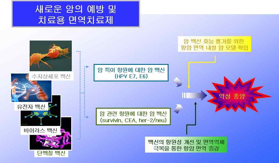 항암면역치료제의 기본 개념도