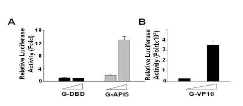 API5의 transactivity확인.