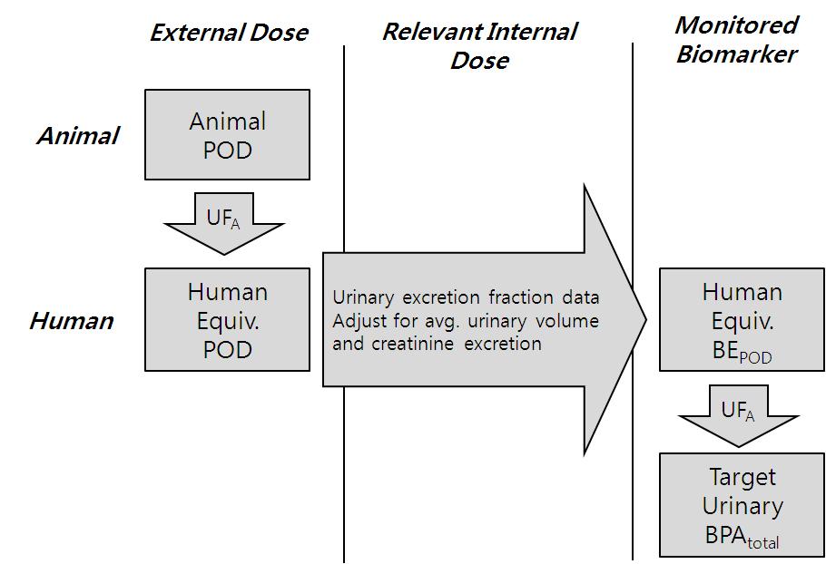 DINP의 내적상응용량을 유도하는 과정(출처: Adapted from K. Krishnan et al., 2010)