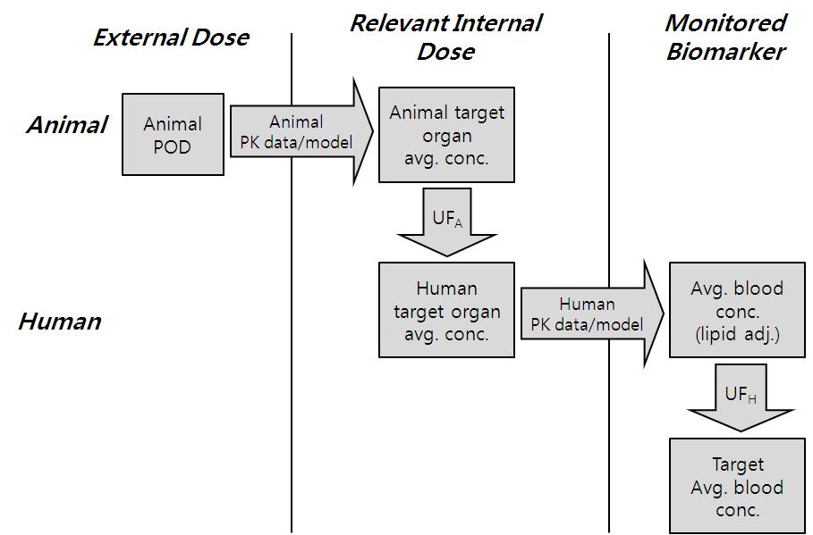 DDT/DDE/DDD의 내적상응용량을 유도하는 과정