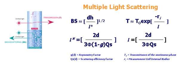 Multiple Light Scattering Phenomena and Theory