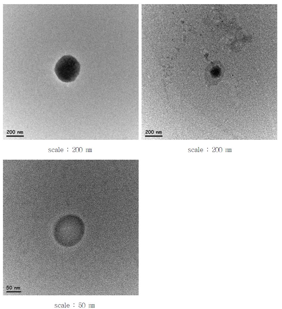 FE-TEM image of vitamin C nanoliposome using BM(Bengham method)