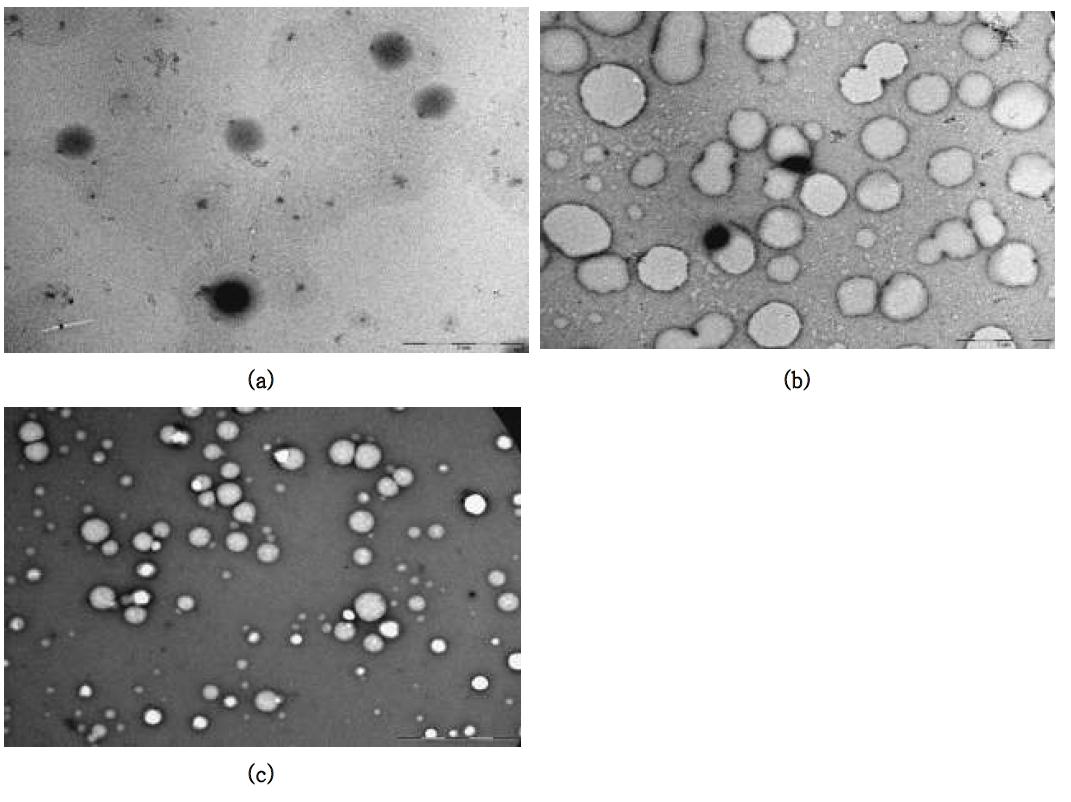 TEM images of fabricated WPI–Vit E nanoparticles(WPI:Vit E=5:1)