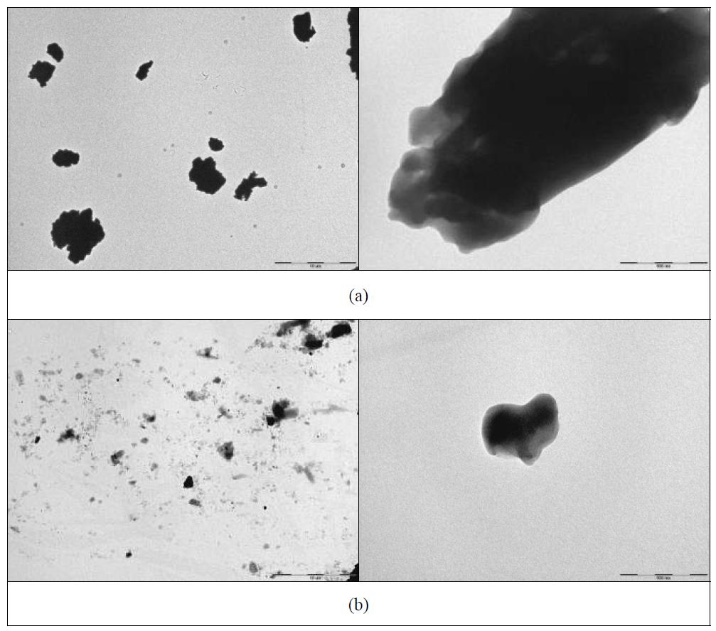 TEM micrographs of red-ginseng powder