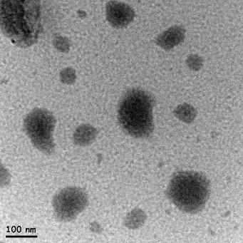 FE-TEM image of Curcumin nano emulsion