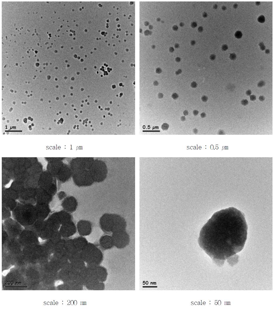 FE-TEM image of vitamin C nanoliposome using HM(Homogenization method)