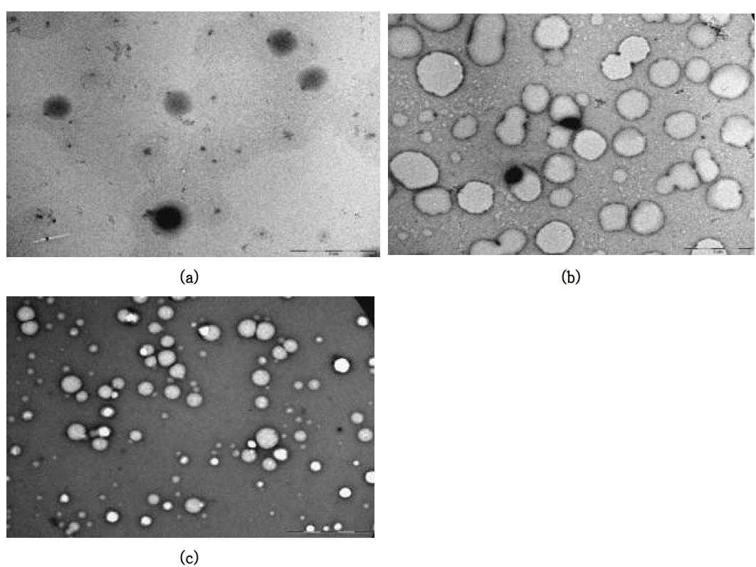 TEM images of fabricated WPI–Vit E nanoparticles(WPI:Vit E=5:1)
